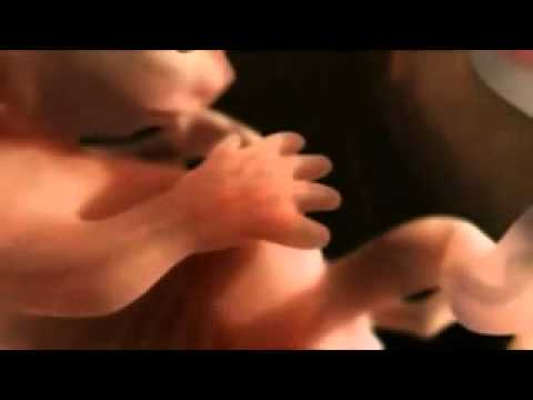 how to properly impregnate a woman