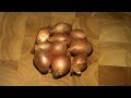 Video de Cocina - Solomillo de cerdo al Oporto