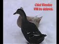 Chief Woodoo: Duck Magic Chief Woodoo: Duck Magic