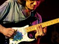 Sonny Landreth - Amazing right hand technique.
