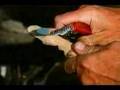 videos de Victorinox - Swiss Army Knife - Le Véritable Couteau Suisse