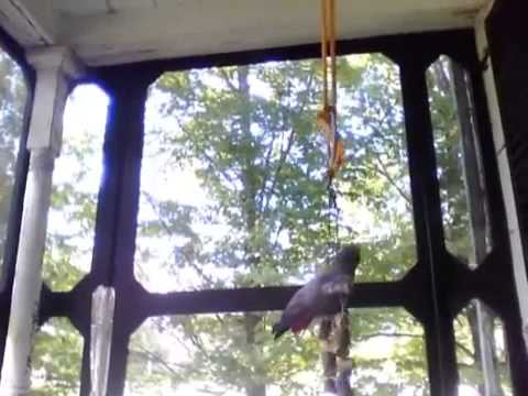 how to cure neurosis