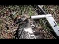 The Pak-Rifle: A 16-oz .22LR Utility / Small Game Rifle