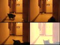 Dinky and the Laser Dinky and the Laser