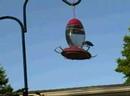 Jul 05 2008 - VID00008
