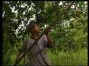 Yachana Gourmet Jungle Chocolate pt1