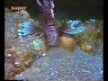underwater vore