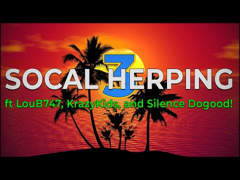 YouTube reptile video