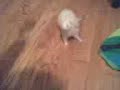 Play Time!!