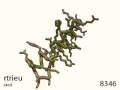 videos de 87: Zinc Binding Protein