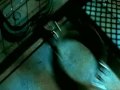 Saw5
