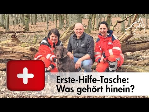 Erste-Hilfe-Tasche für Hunde - Was gehört rein❓ Oli Petszokat fragt nach!