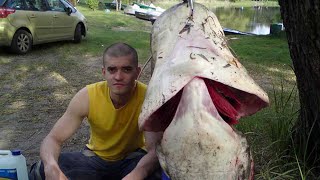 Where does the big catfish live? Spearfishing and 