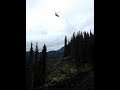 Heli Logging
