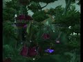 Terokkar Forest - music & slide show