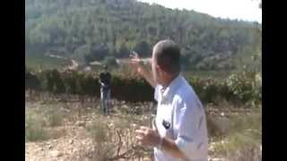 موعد في ساريس الجزء 2