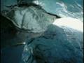 videos de The Major Natural Parks of Europe  Part 01