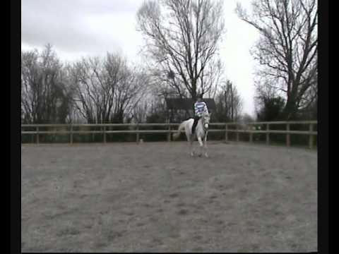 misty xxx