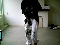 fullah G pack style taker