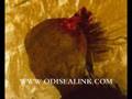 videos de Dr Jonathan Reed Alien Encounter Odisealinker Series 13/19