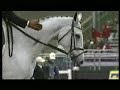 cha-cha-slide-horse-edition.html