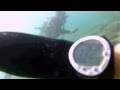 Piran, Rt Madona, Slovenia. Adriatic Sea Scuba ...
