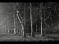clip video Jolie Holland Black Hand Blues