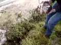 video image