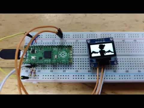 Demonstration video