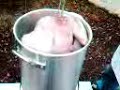 vid251208 1