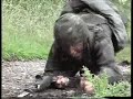 British Army Infantry Training ITC catterick part 2 of 2