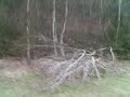 Brachbach TV.www.messeneuheiten.de.tt Orkansch�denin Brachba