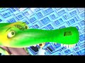 Crocodile\