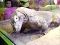 Shedd Aquarium 2006