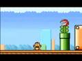 Super Mario bikini item