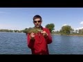 [Part One] Jerkbait Smallmouth Tips and Secrets