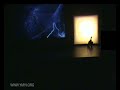 YMYI - Centro Cultural Vila Flor 2008 Digital Art Exhibition