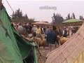 187 Morocco Rabat sheep market