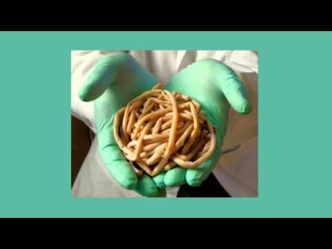 how to treat p vivax