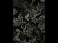 建仁寺「双龍図」