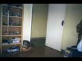 videos de Chuky