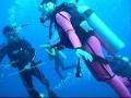 Diving at Bunaken, Indonesia.