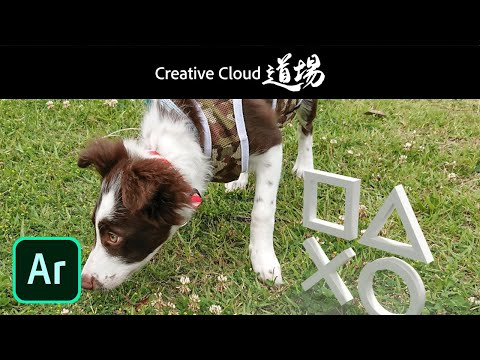 動画