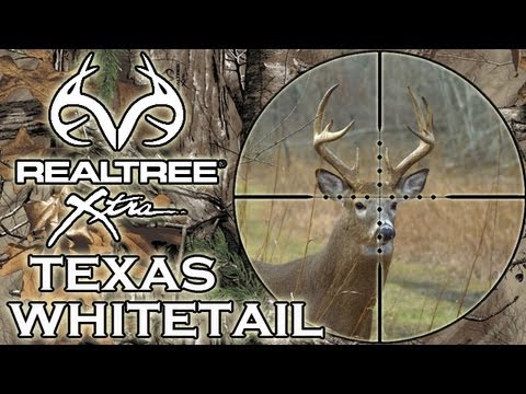 Texan Whitetail Deer Hunt