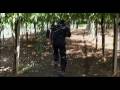 videos de Genti Kame LA MORTE DI UN CONFIDENTE Manetti B.
