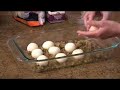 Overnight Breakfast Rolls