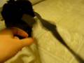 videos de Tobias Playing