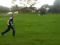 Jack & A Cow