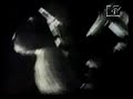 Flower - Soundgarden Flower - Soundgarden