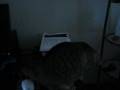Pet Teaser